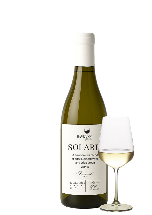 Solaris vinflaske og glas